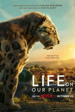 TV Show Poster