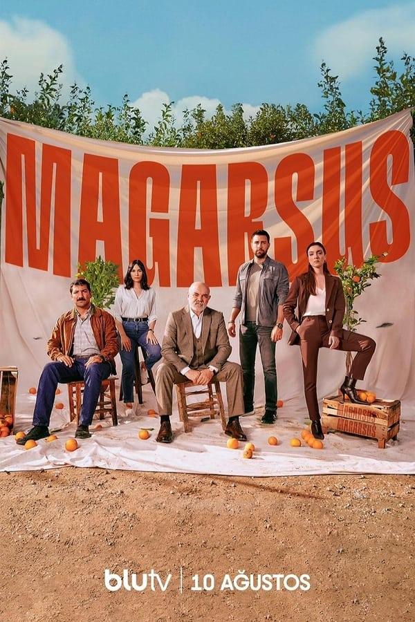 TV Show Poster