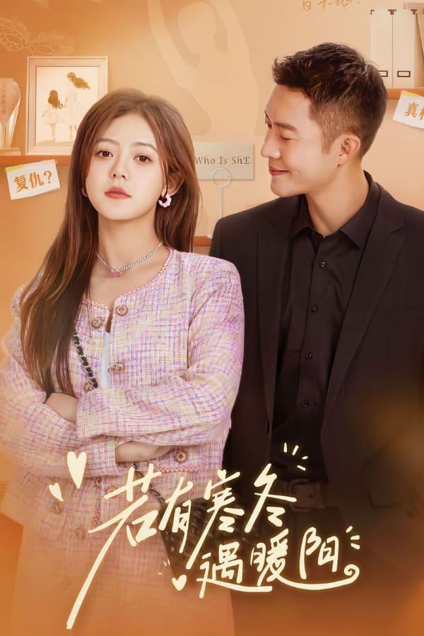 TV Show Poster