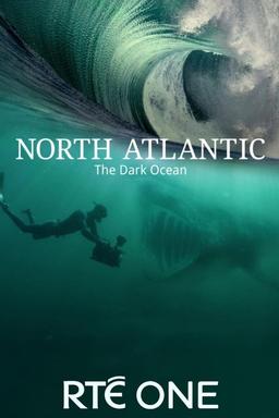 TV Show Poster