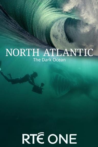 TV Show Poster