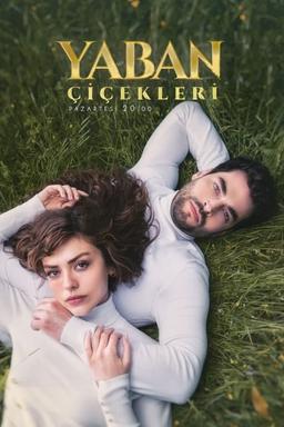 TV Show Poster