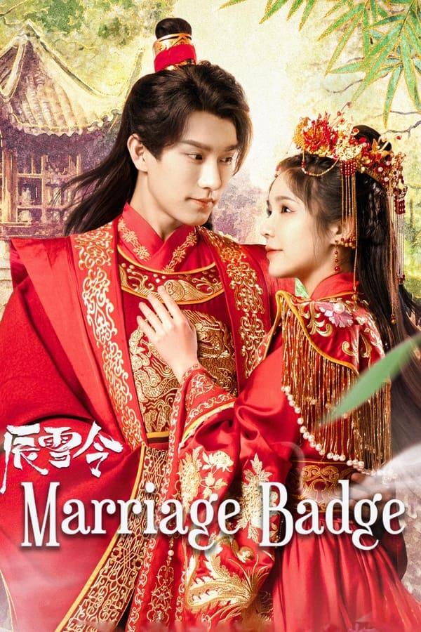 TV Show Poster
