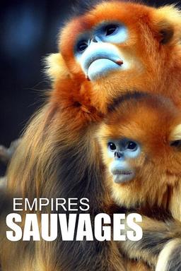 TV Show Poster
