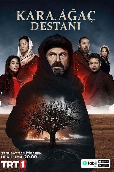 TV Show Poster