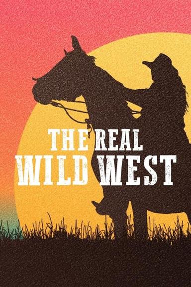TV Show Poster