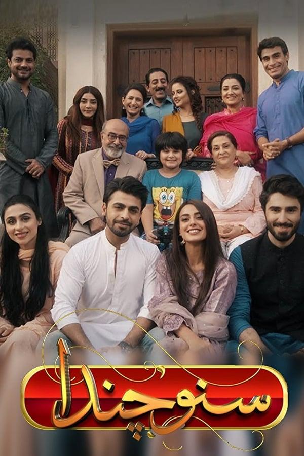 TV Show Poster