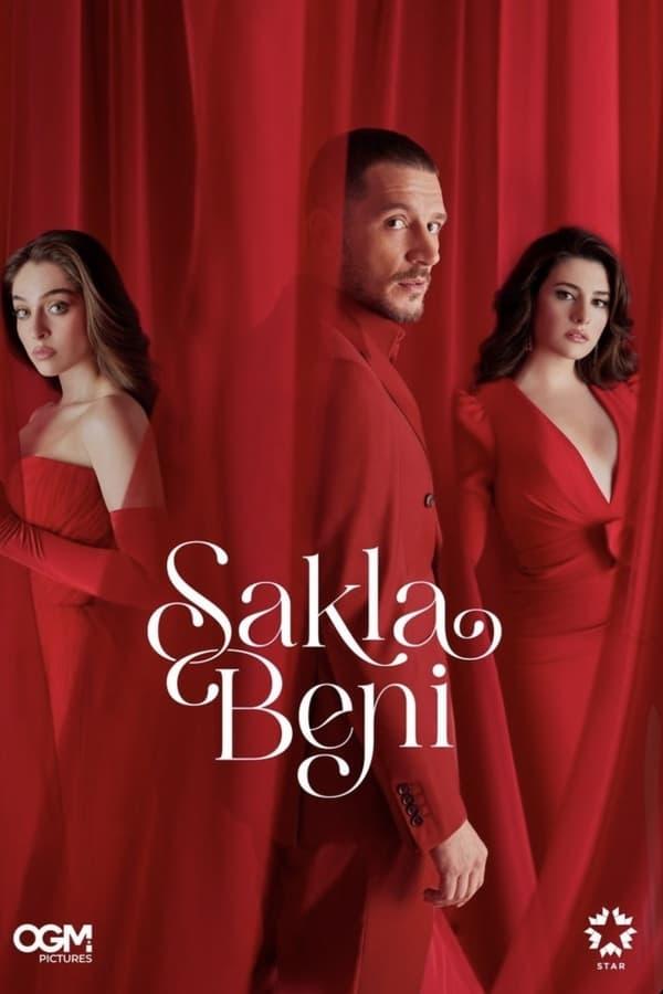 TV Show Poster