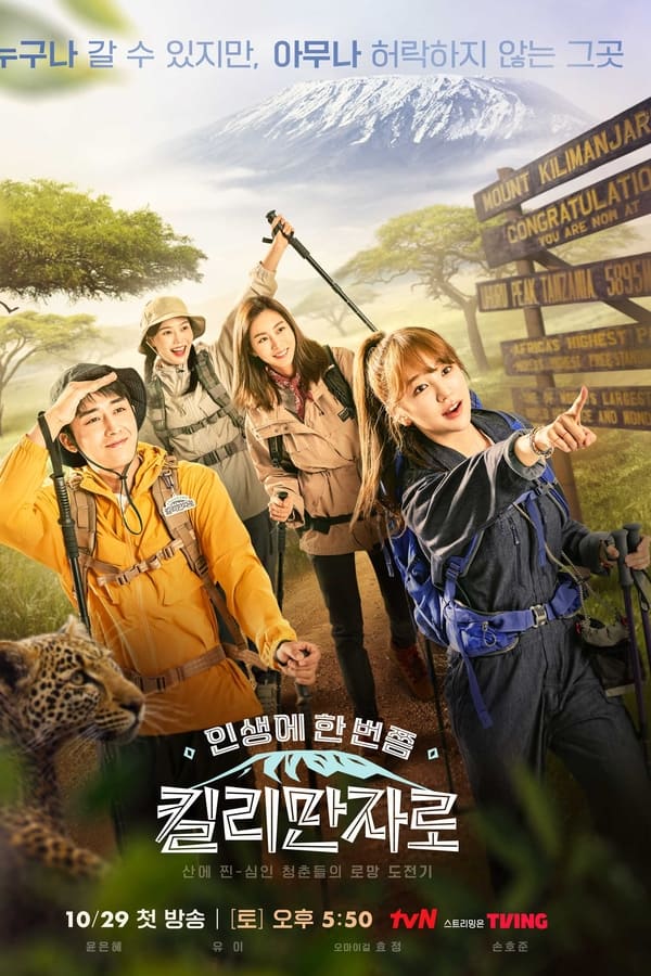 TV Show Poster