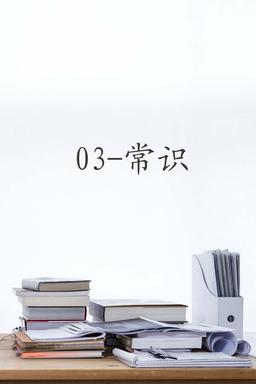 TV Show Poster