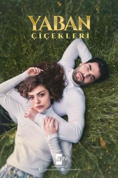 TV Show Poster