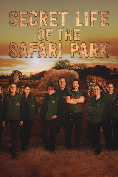 TV Show Poster