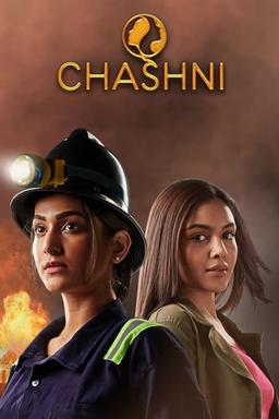 TV Show Poster