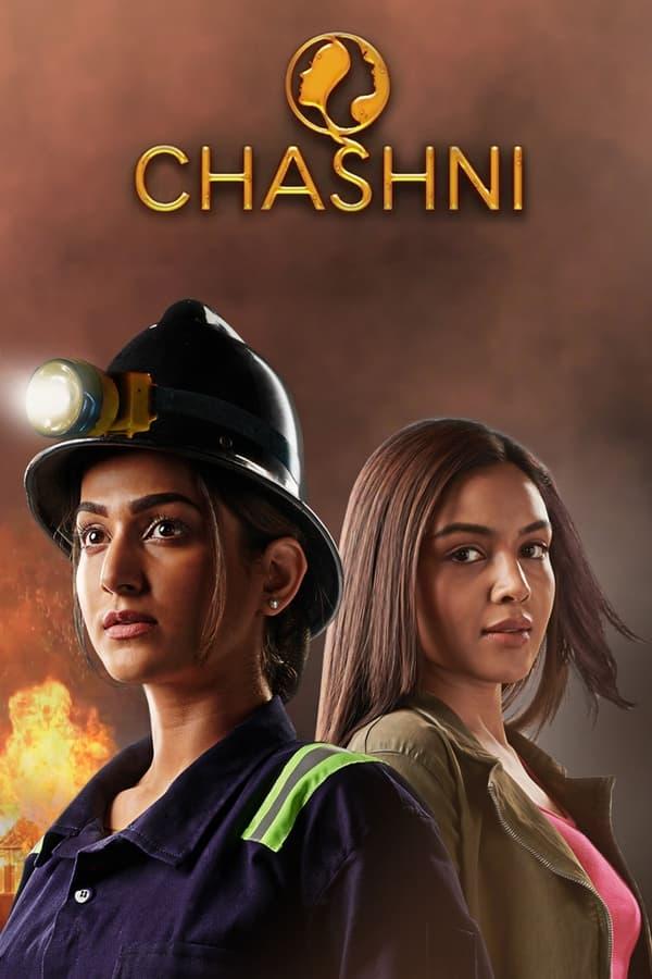 TV Show Poster