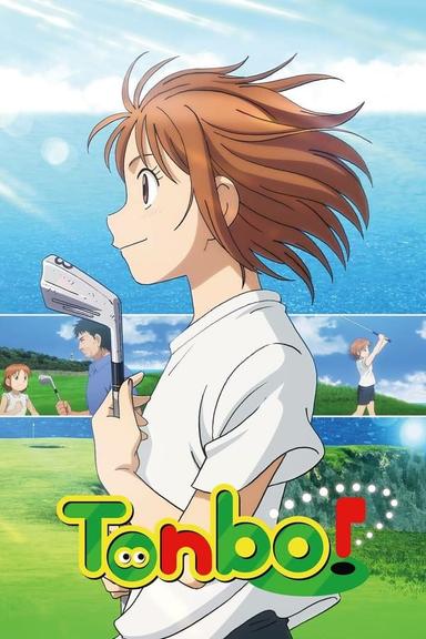 TV Show Poster