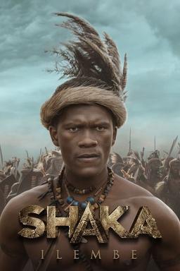 TV Show Poster