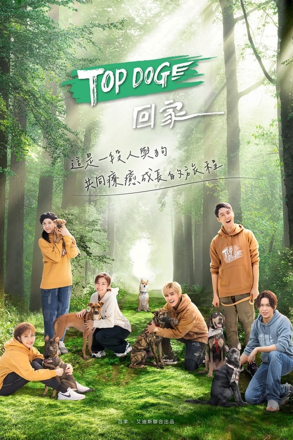 TV Show Poster