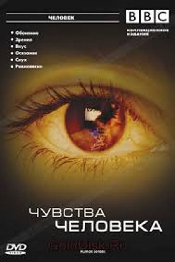 TV Show Poster