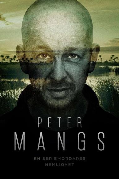 TV Show Poster