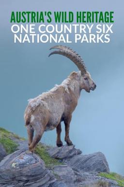 TV Show Poster