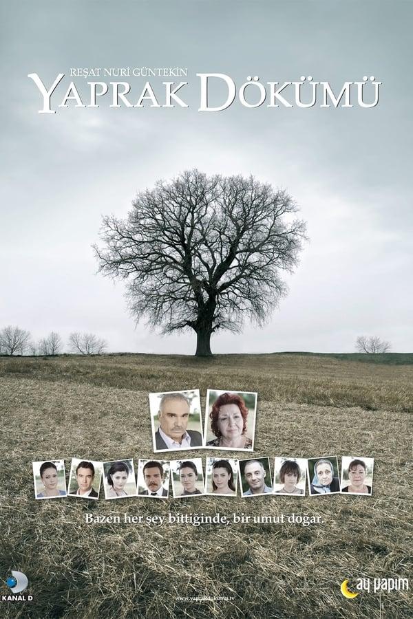 TV Show Poster