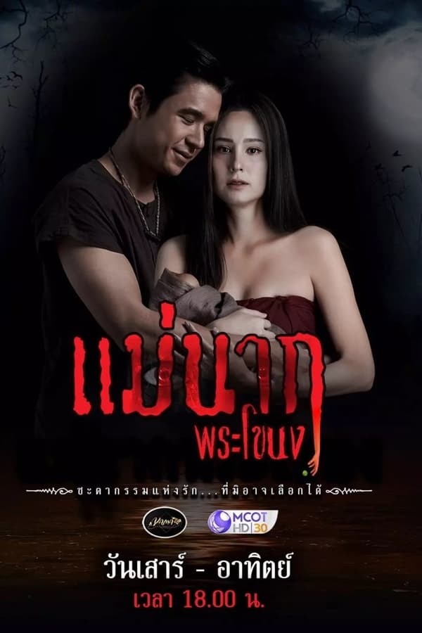 TV Show Poster