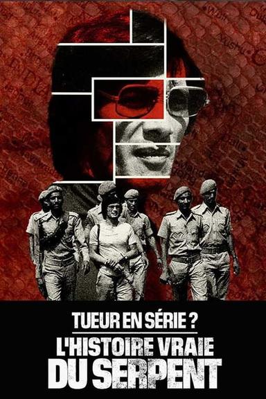 TV Show Poster