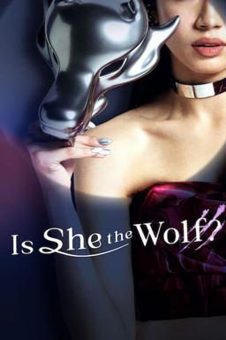 TV Show Poster