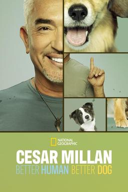 TV Show Poster