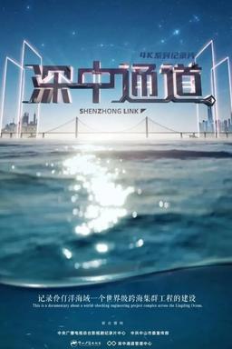 TV Show Poster