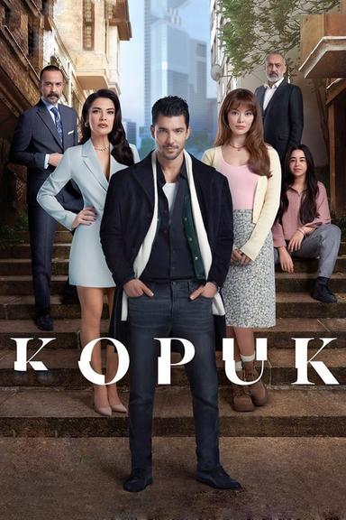 TV Show Poster