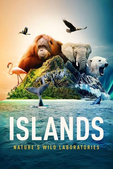 TV Show Poster