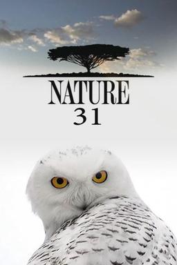 Постер сериала