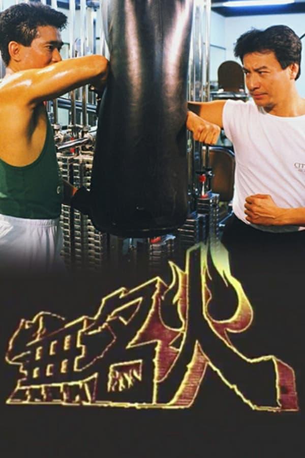 TV Show Poster