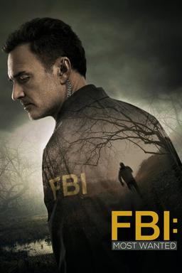 TV Show Poster