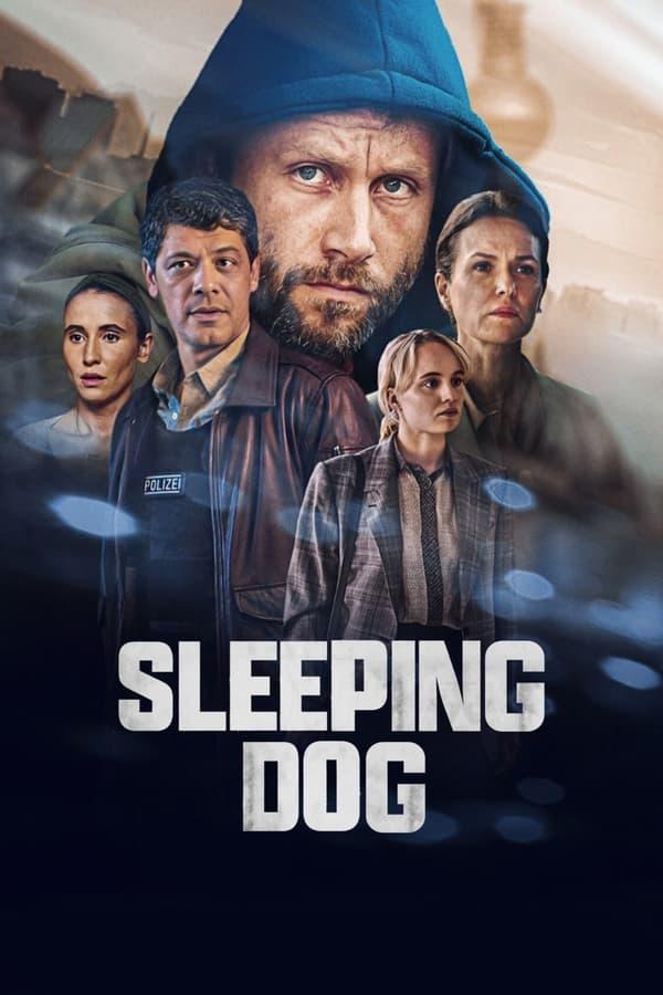 TV Show Poster