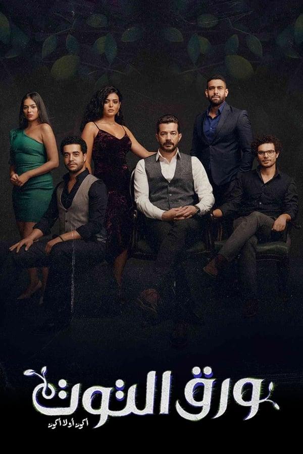 TV Show Poster