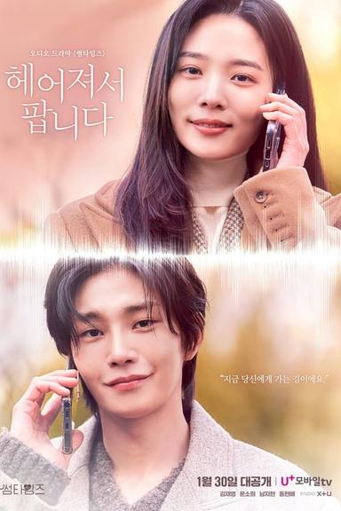 TV Show Poster