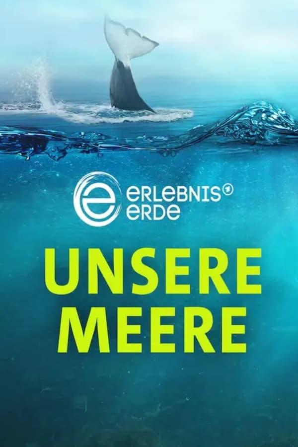 TV Show Poster