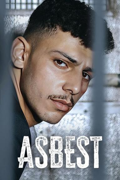 TV Show Poster