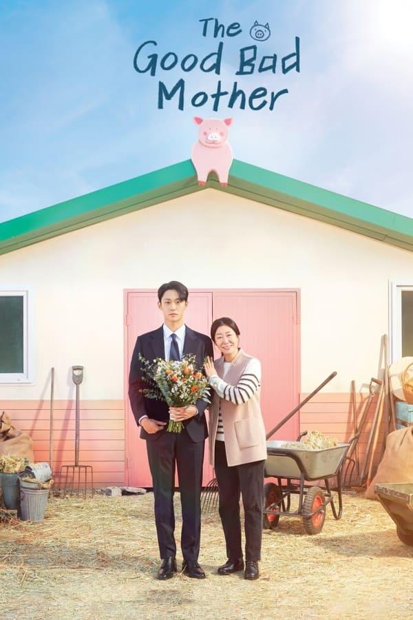 TV Show Poster