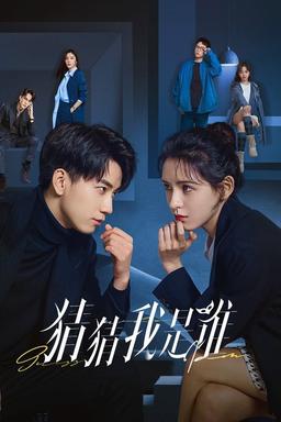 TV Show Poster