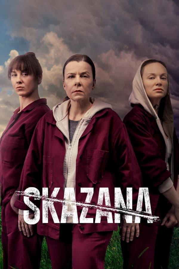 TV Show Poster