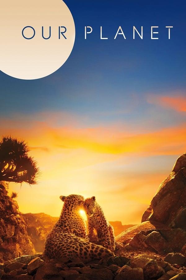 TV Show Poster