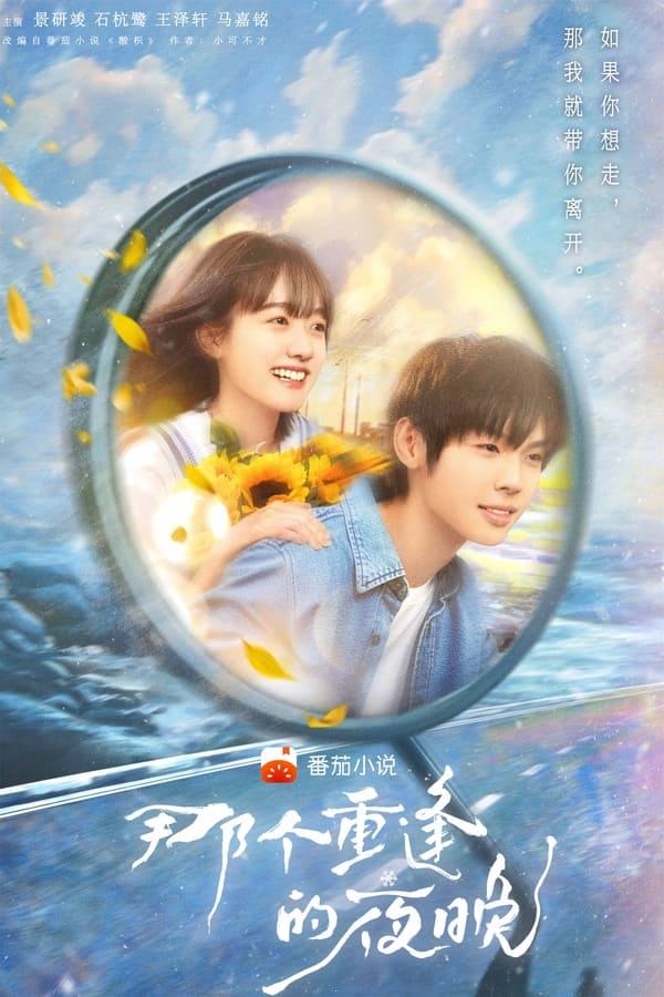 TV Show Poster