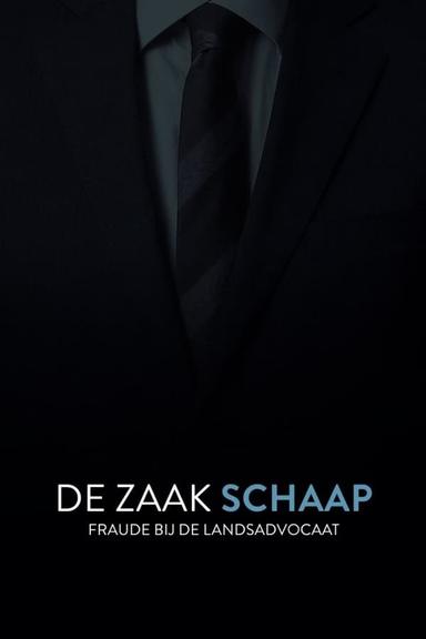 TV Show Poster