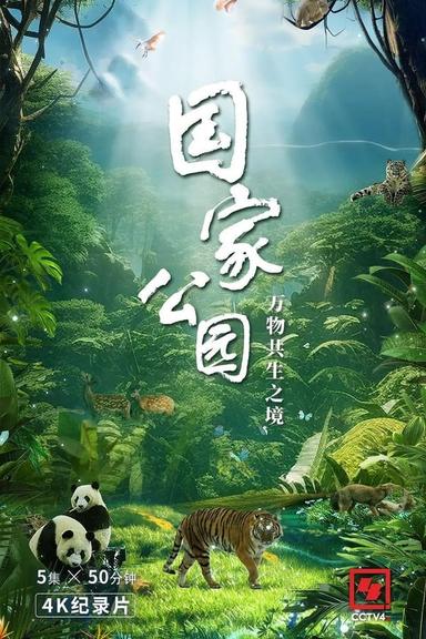 TV Show Poster