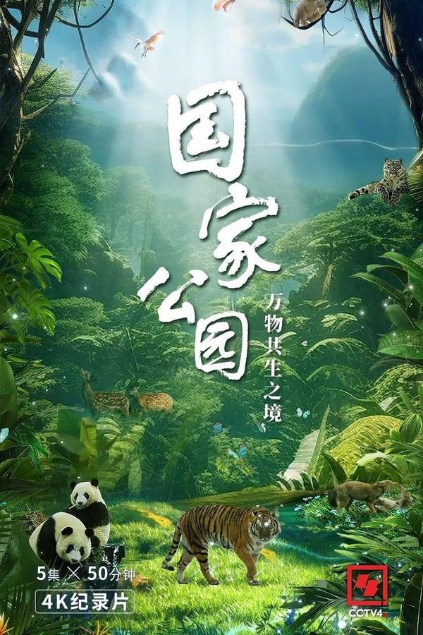 TV Show Poster