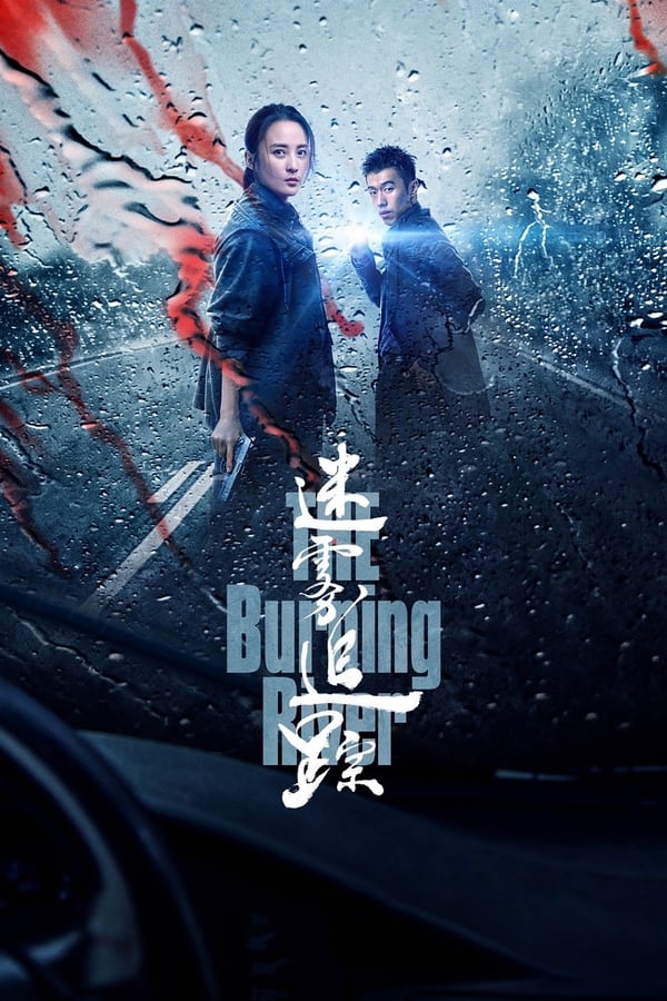 TV Show Poster