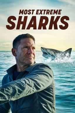 TV Show Poster